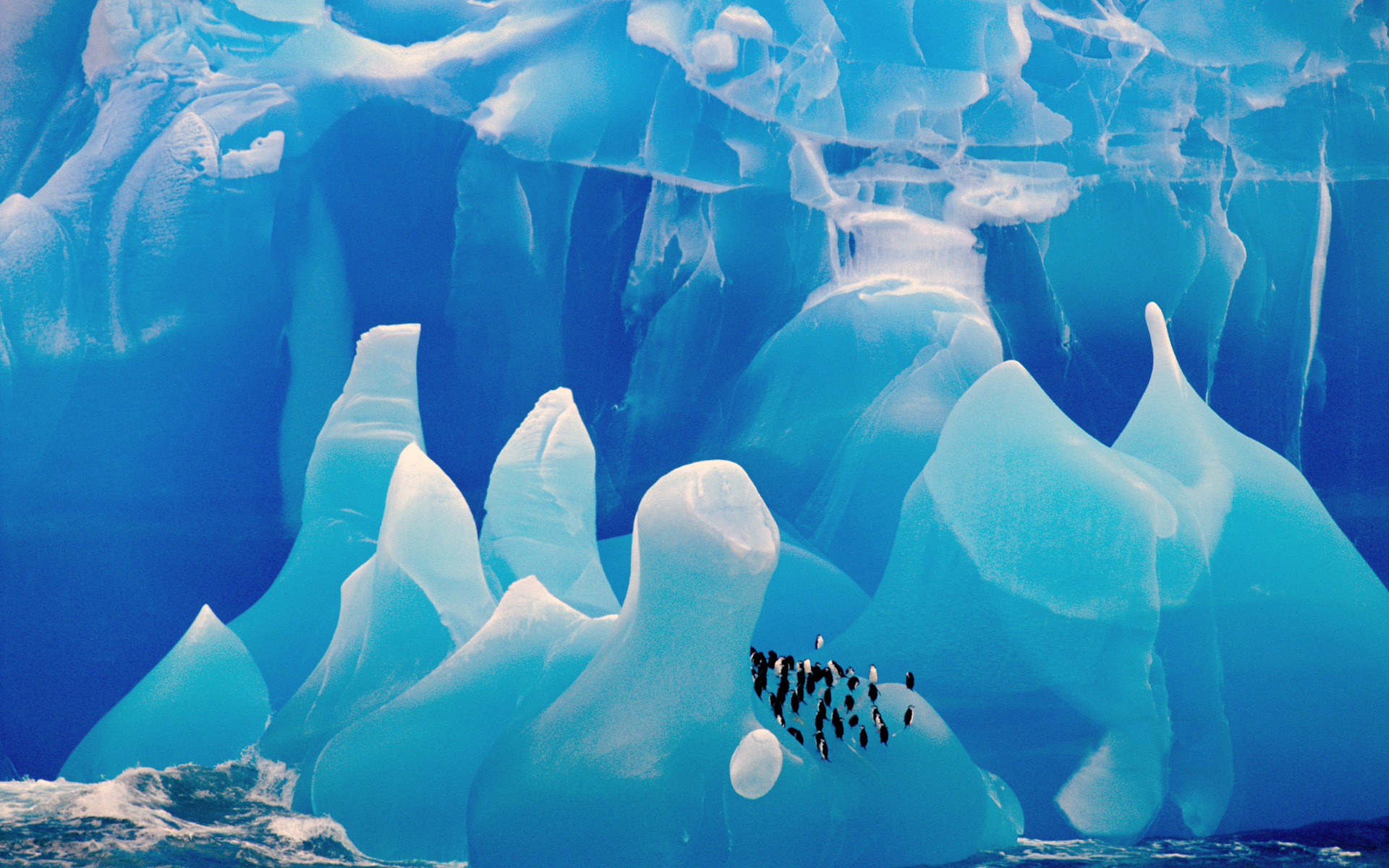 http://1.bp.blogspot.com/_W1ueYt1O3xs/TFRC_3JQoUI/AAAAAAAAWQ0/G3zF-xorOL8/d/Windows+7+Widescreen+Wallpapers+(12).jpg