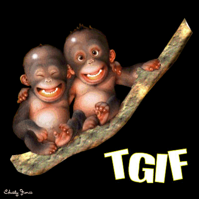 Tgif Monkey