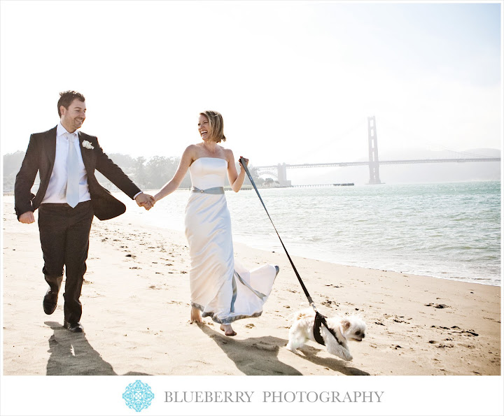 bay area wedding photographer