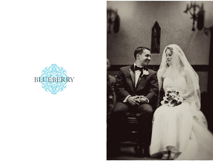 south bay wedding photographer