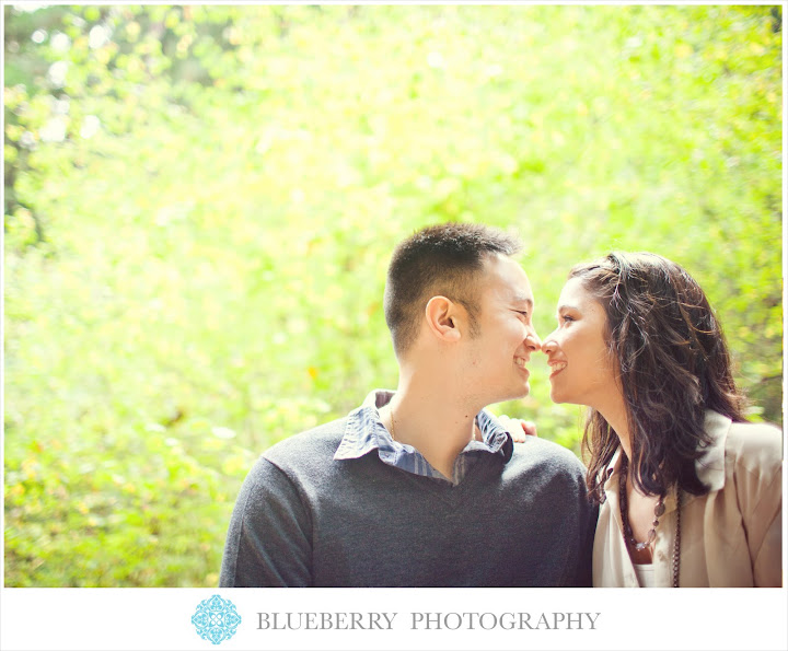 Muir Woods engagement session