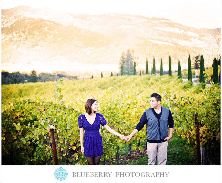 wine country dream wedding engagement shoot