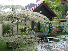 Rumah ku