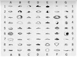 I DIVERSI TIPI DI UFO
