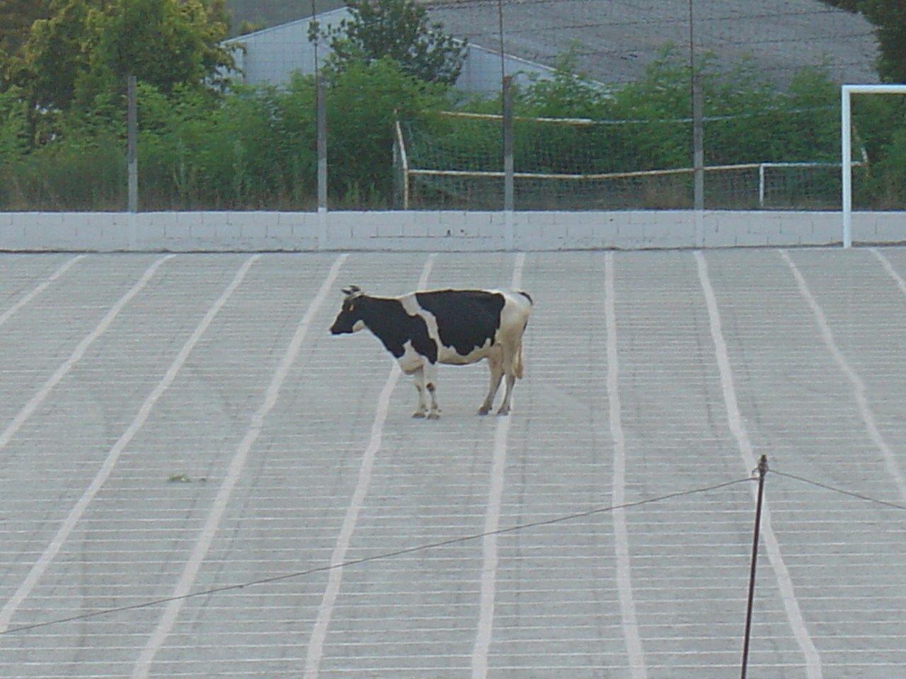 [DSC09293.JPG]