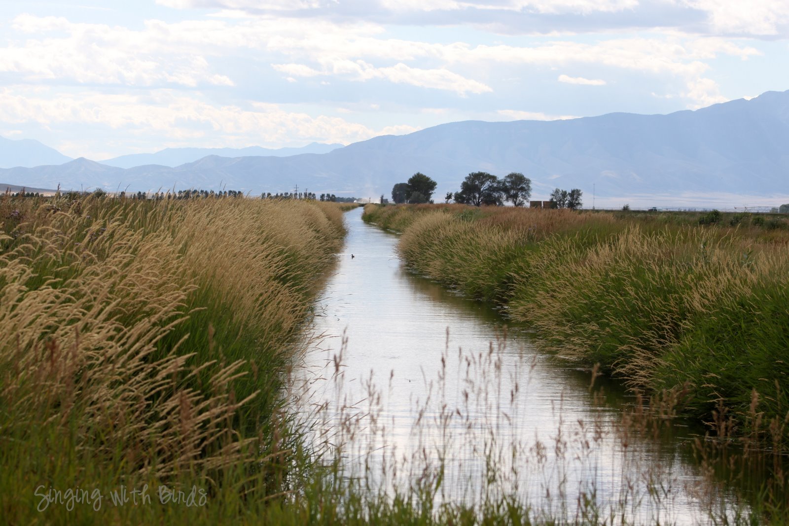 Road Trip USA Mud Lake, Idaho Cheery Kitchen
