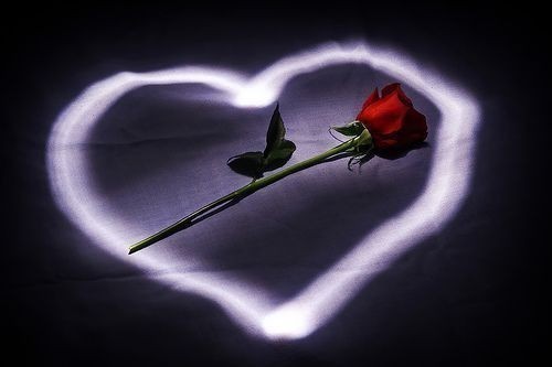 [0091f9c0e1504b55b4d959cso0.jpg]