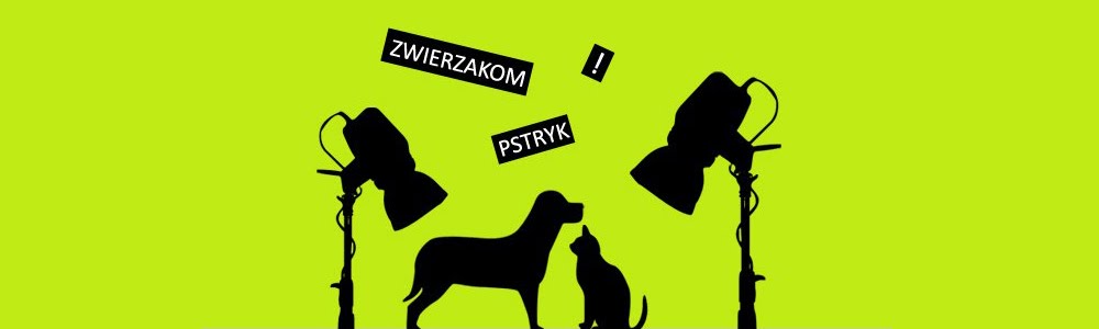 Zwierzakom Pstryk !