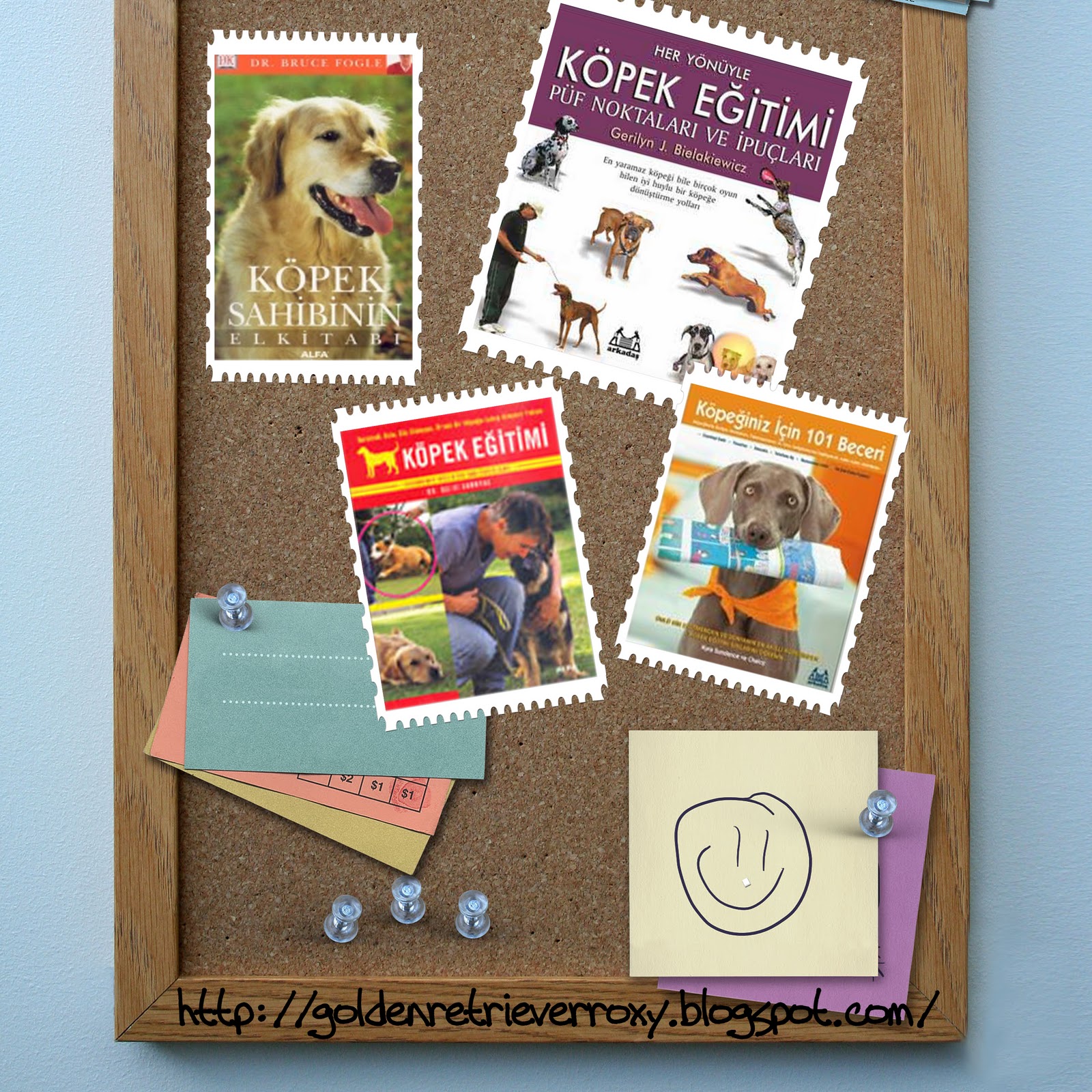 Golden Retriever Roxy Köpek Eğitimi ile İlgili Okuduğum Kitaplar