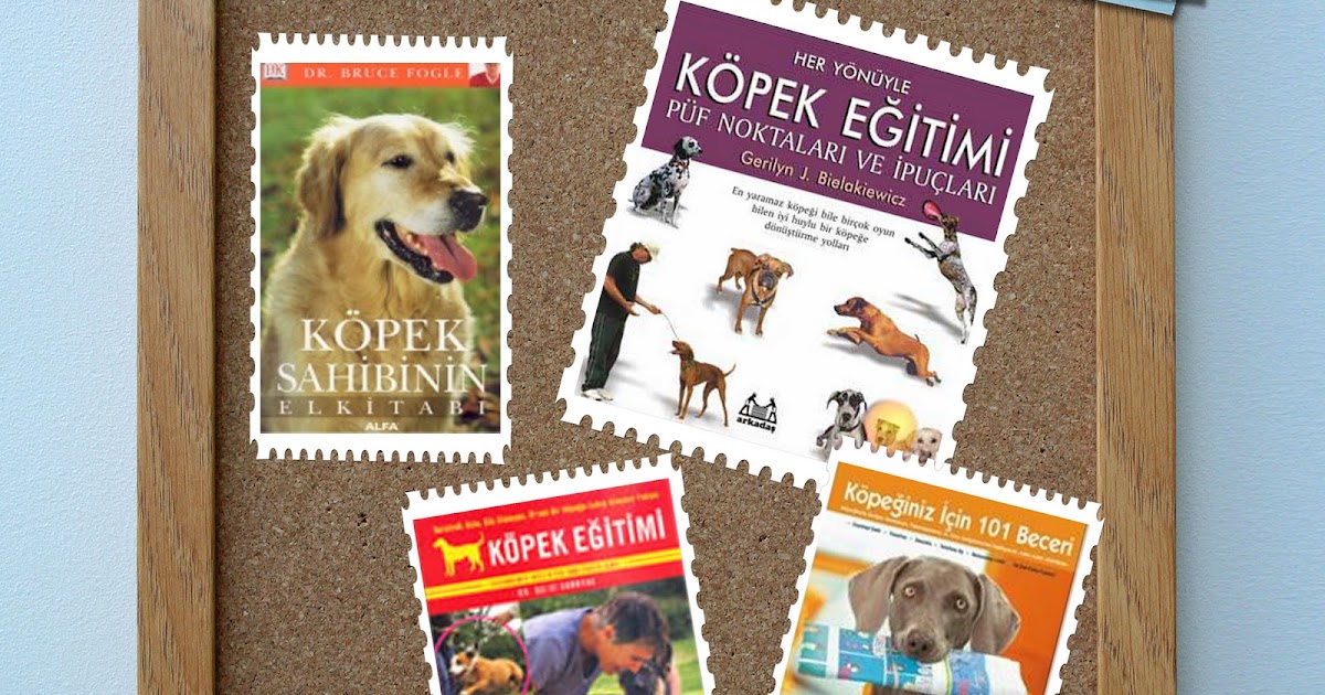 Golden Retriever Roxy Köpek Eğitimi ile İlgili Okuduğum Kitaplar