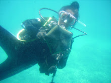 Glass bottom boat tour