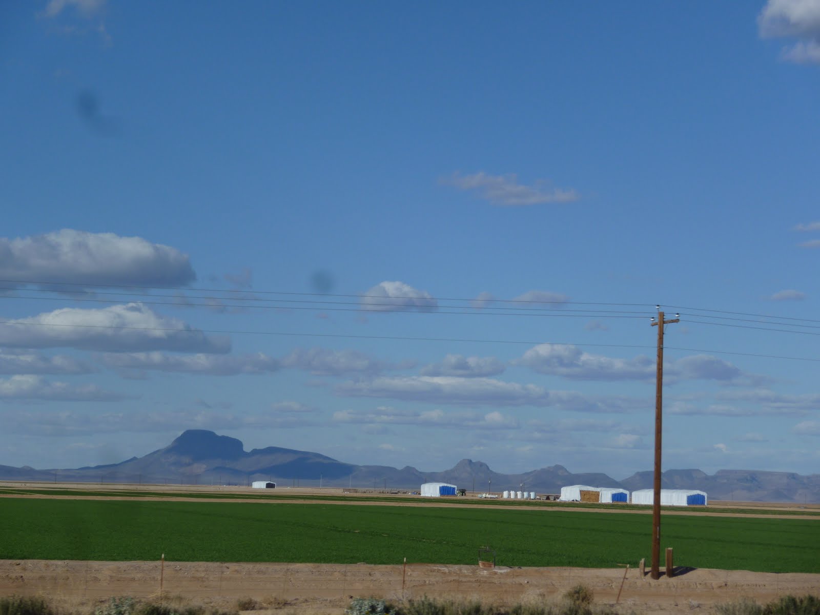 On the Road Again Yuma,Gila Bend,Aho and why az.