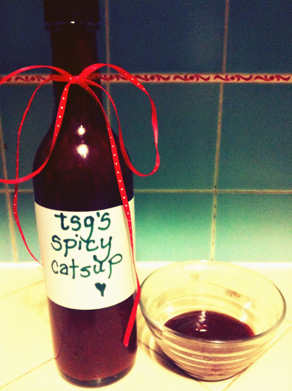 The Salty Girl make your own delicious ketchup