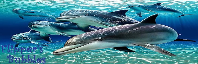 Flipper\