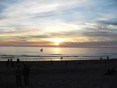 Northern California Sunset - Pôr-do-sol no Norte da Califórnia