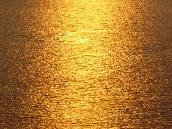 [gold+sunset.jpg]