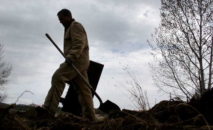 [wild032507.5.lres.jpg]