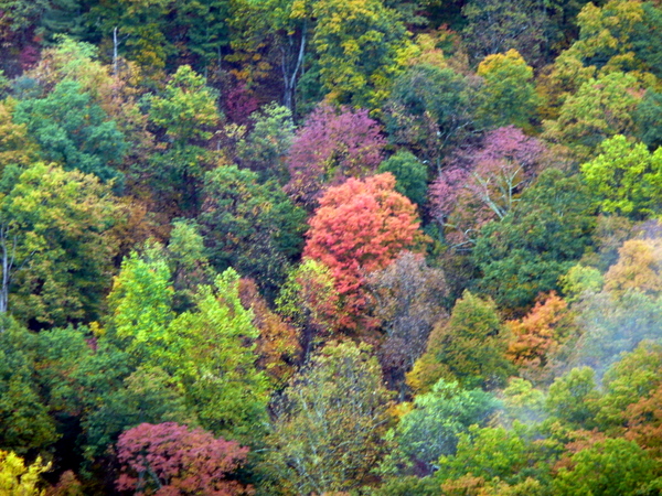 Blue Ridge Parkway, VA