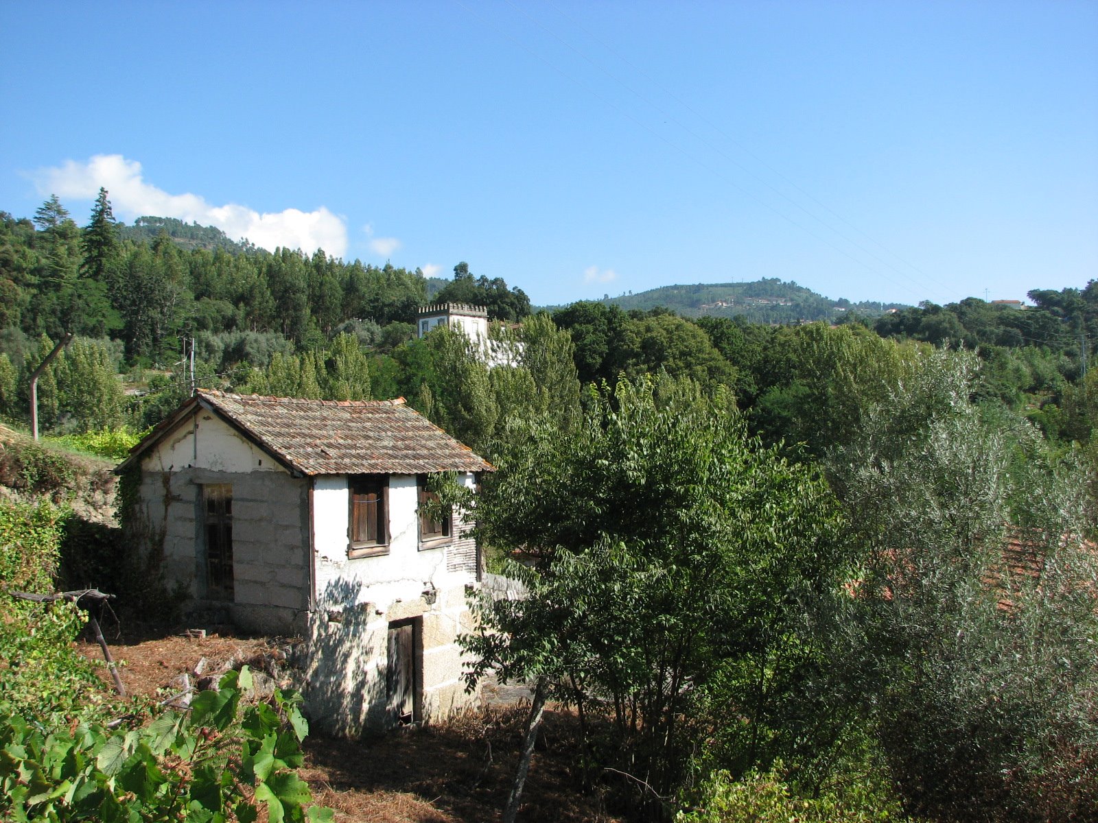 [douro+2008+183.jpg]