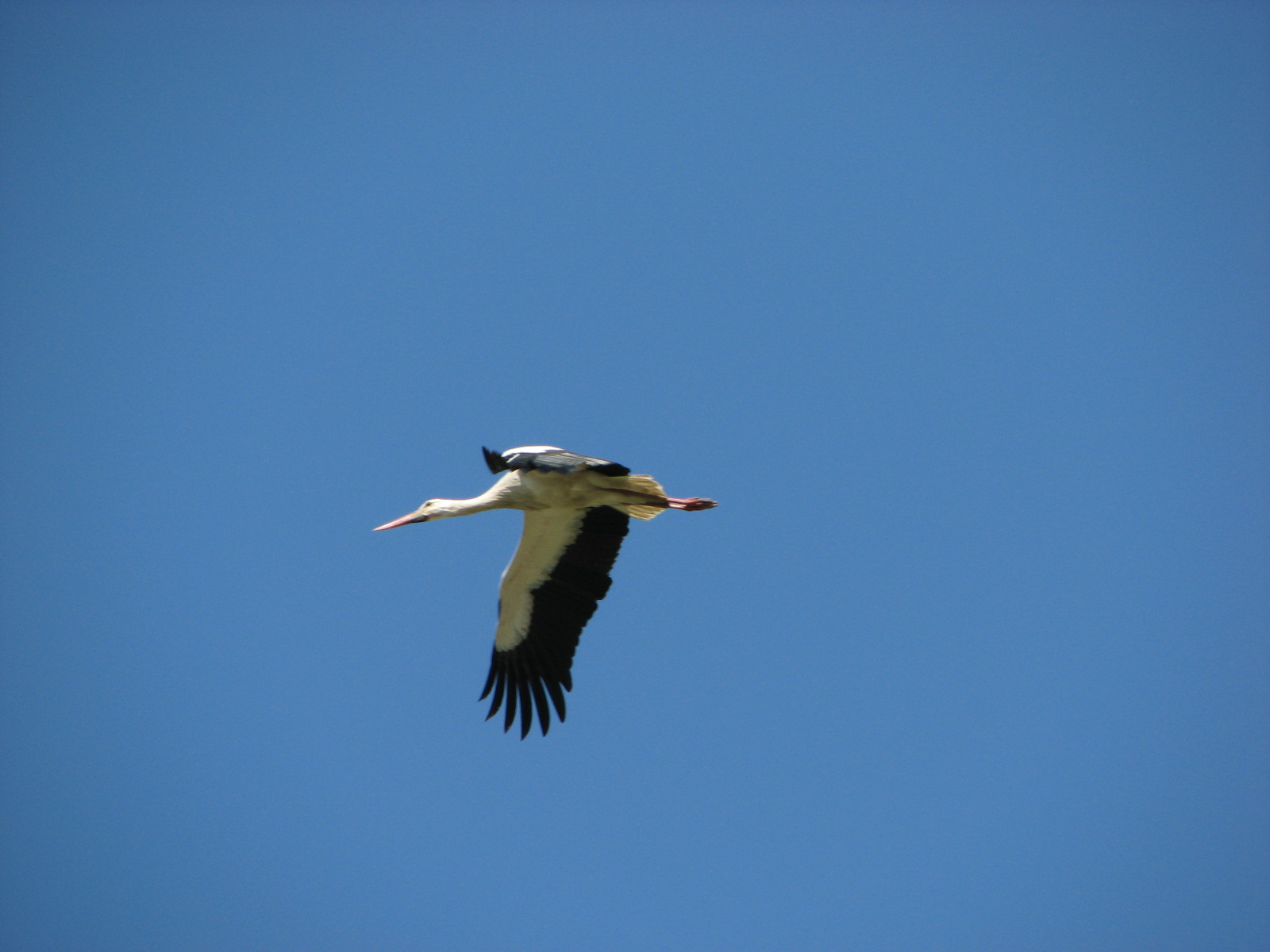 [quinta+2009+059.jpg]