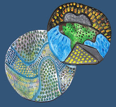 Slump Pots - Ceramic with Acrylic Paint