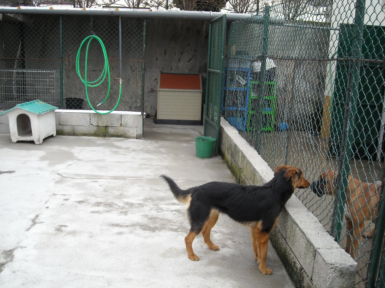 [DSCN0085.JPG]