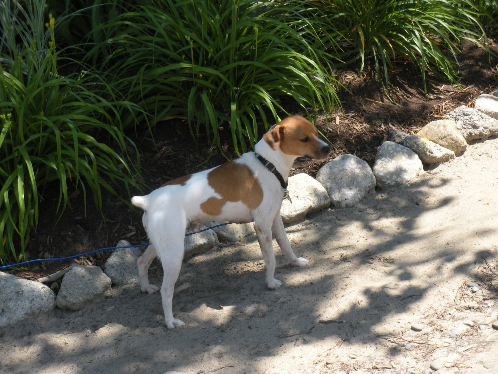 [2009+Summer+Vacation+and+Cosmo+010.jpg]