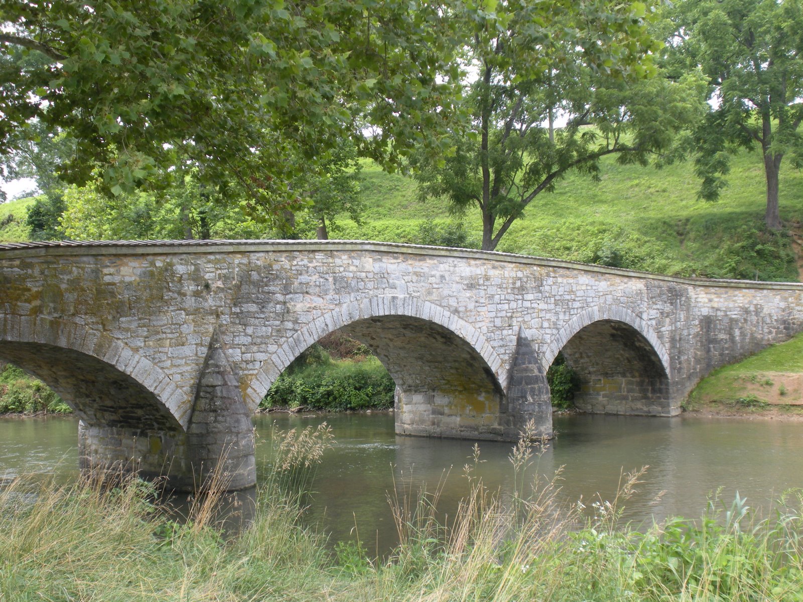 [2009+Summer+Vacation+and+Cosmo+048.jpg]