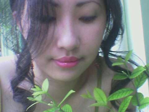 My Photo