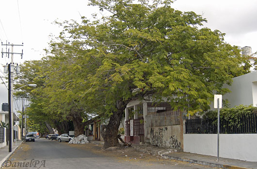 [Mid07-014bl.jpg]
