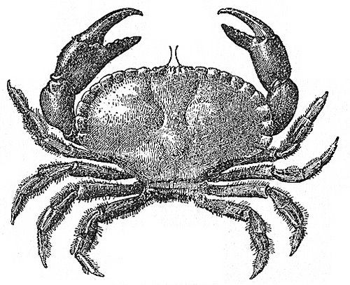 [3330615132_11892d677e.jpg]