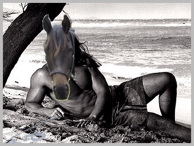 [20050413_fabio.gif]
