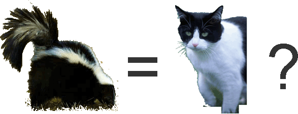 [skunkcat.gif]