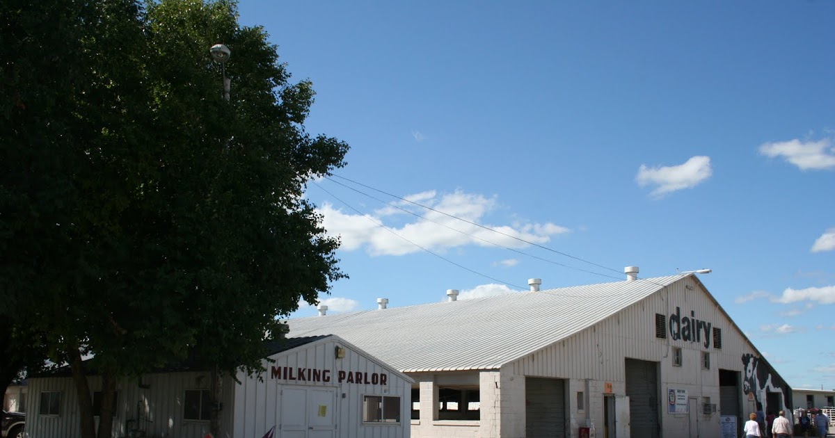 The Steeplechase The Nebraska State Fair at Lincoln A Photographic