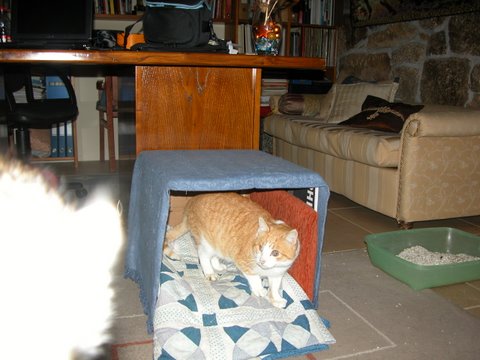 [DSCN2699.JPG]