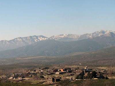 Centenera