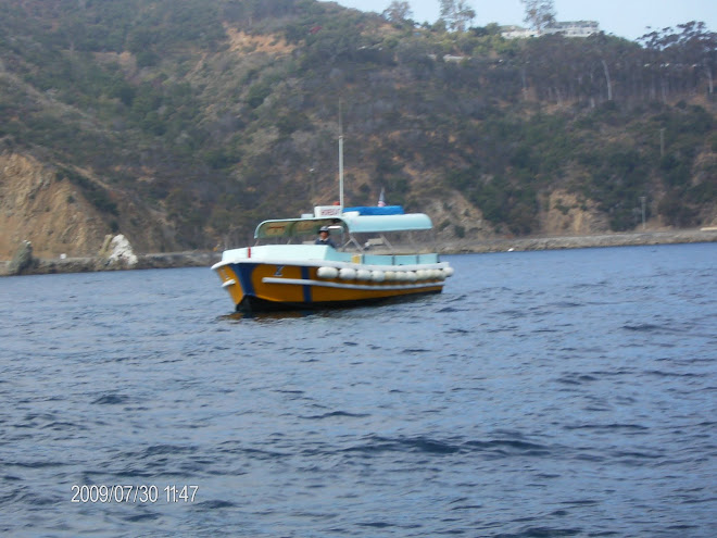 The boat that took us from the ship to Catalina Island