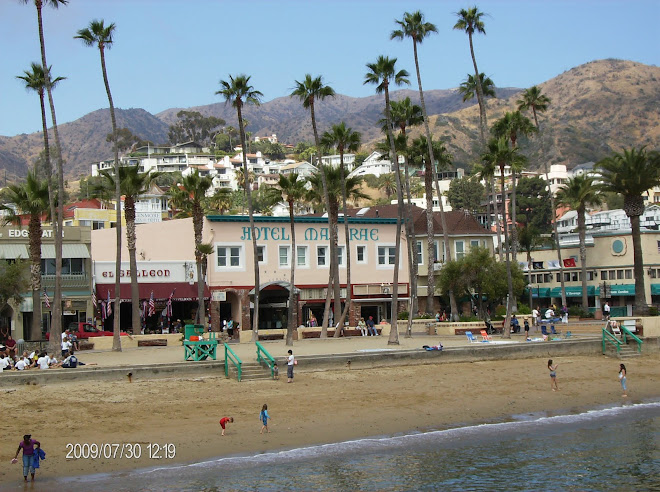 The beach on Catalina Island