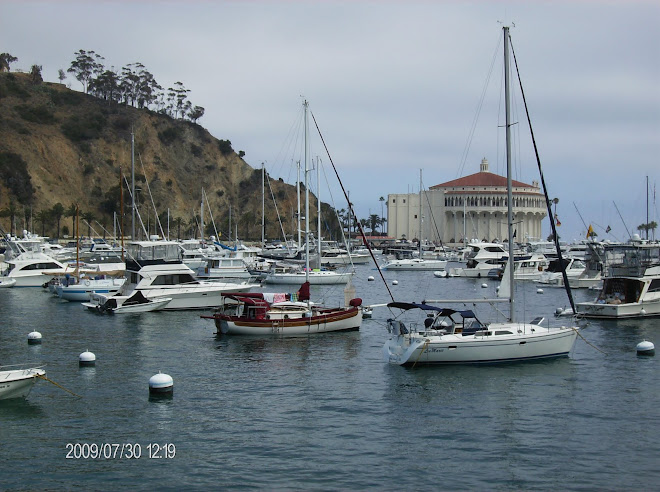 Boats docked near the shore of Catalina Island