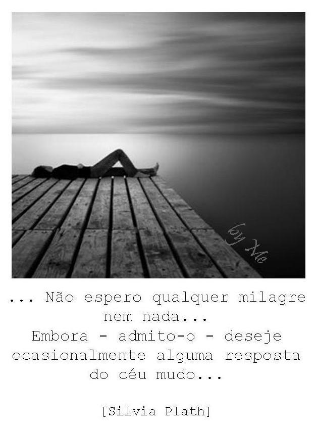 [imagem23.jpg]