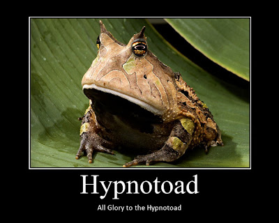 hypnotoad.jpg