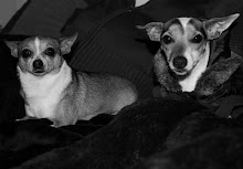 Honey & Poppi