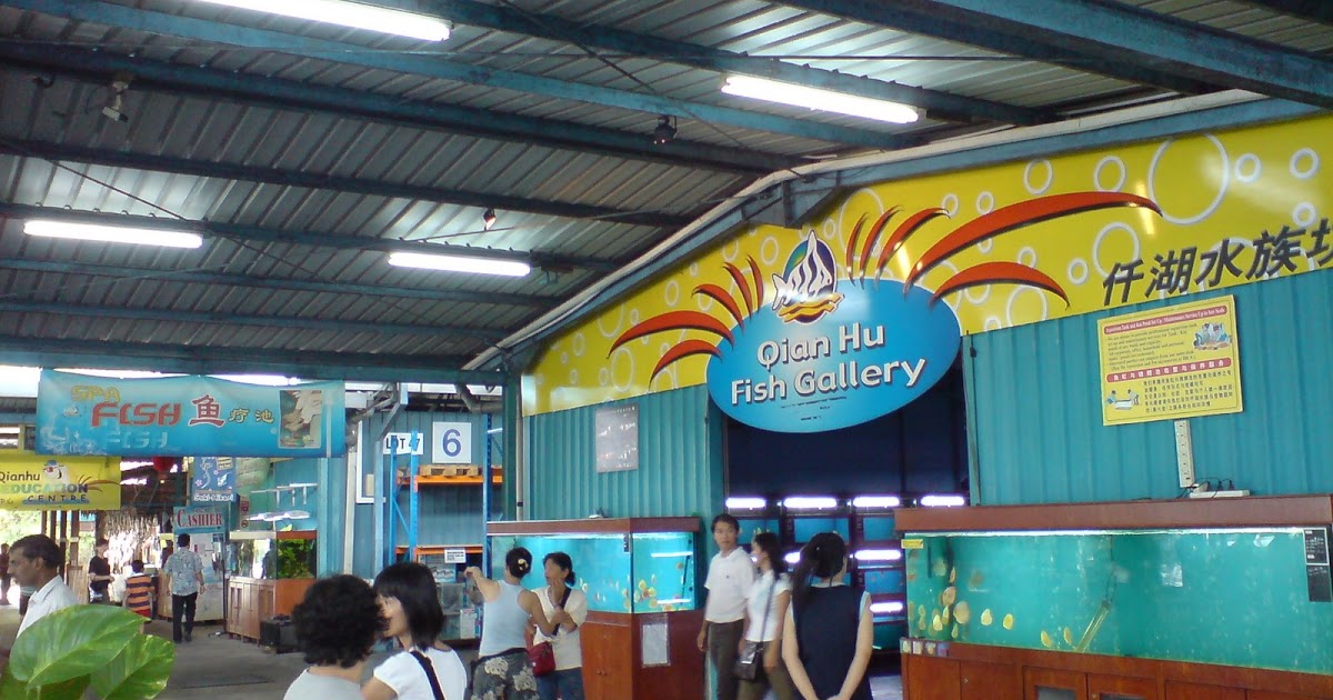 eXplore Singapore Qian Hu Fish Farm