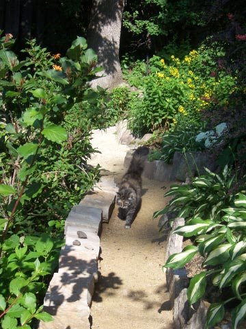 [Garden+2]