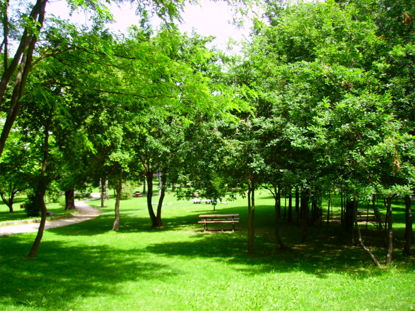 [screen-capture.png]