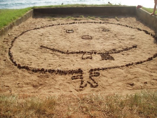 [pinesta-pineta-izdelek-fantic.jpg]