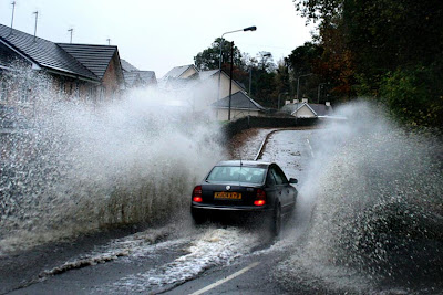 [Immagine: car+in+puddle.jpg]