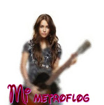 Mi metroflog