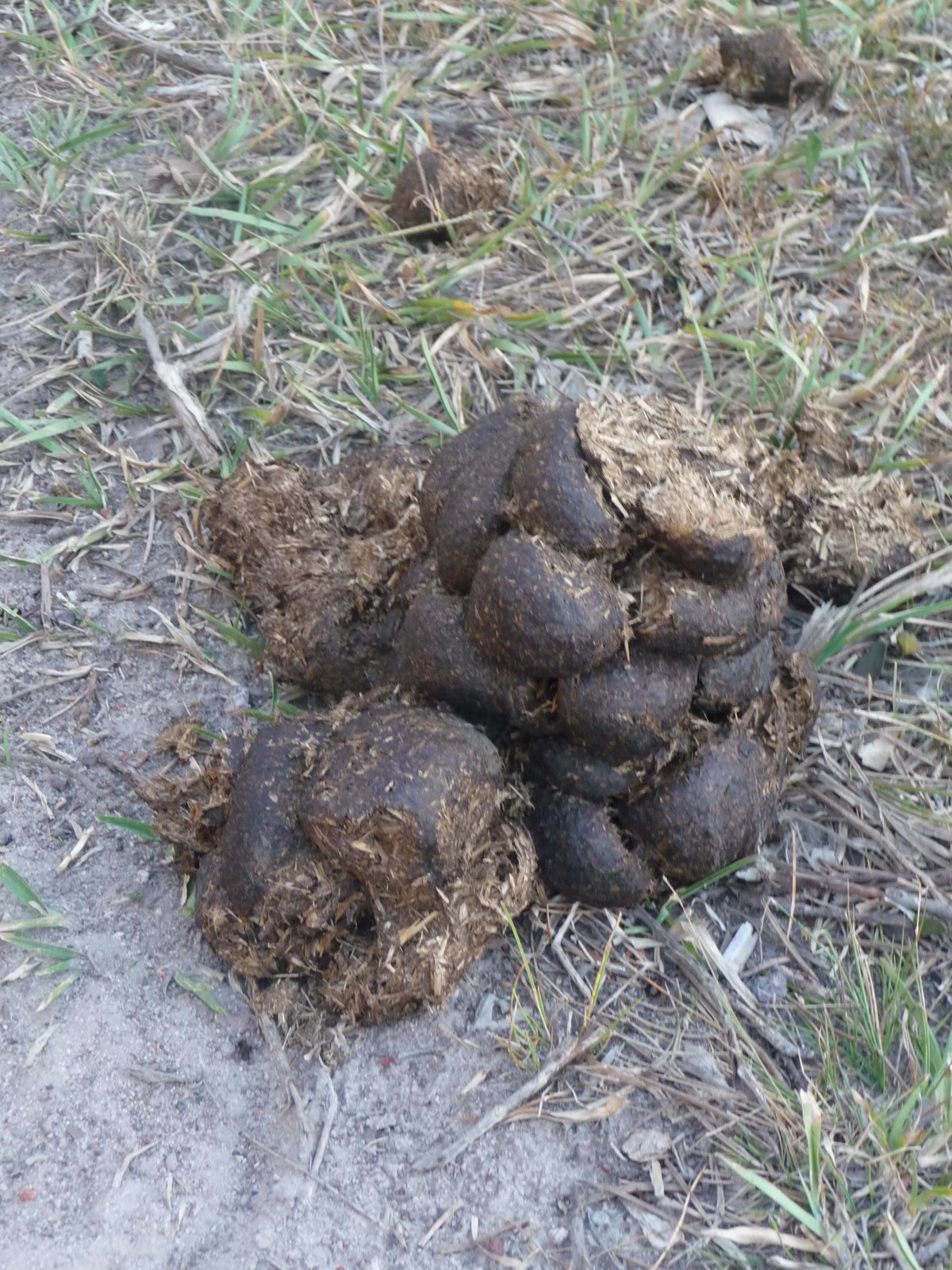 [P1000822.JPG]