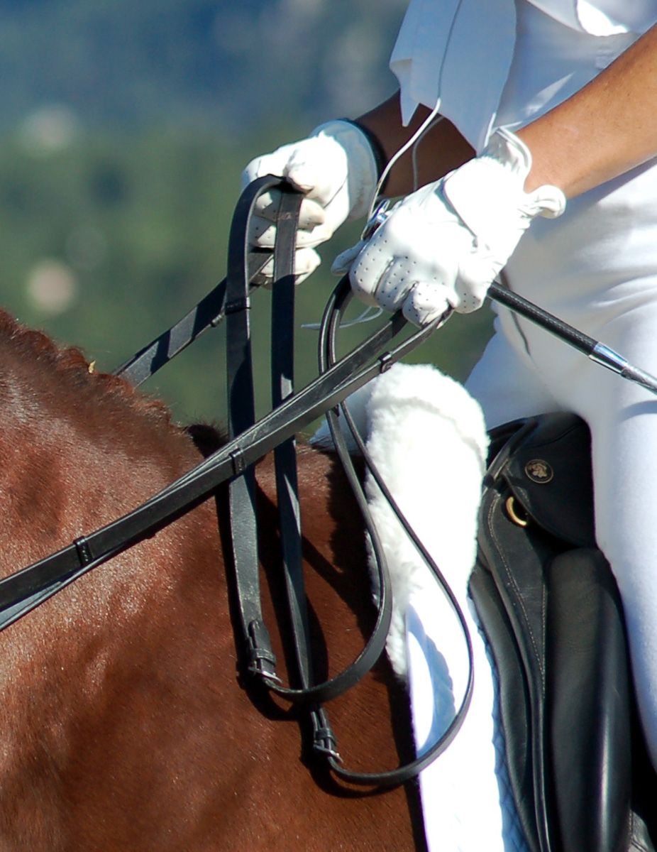 double_bridle_reins.jpg (image)